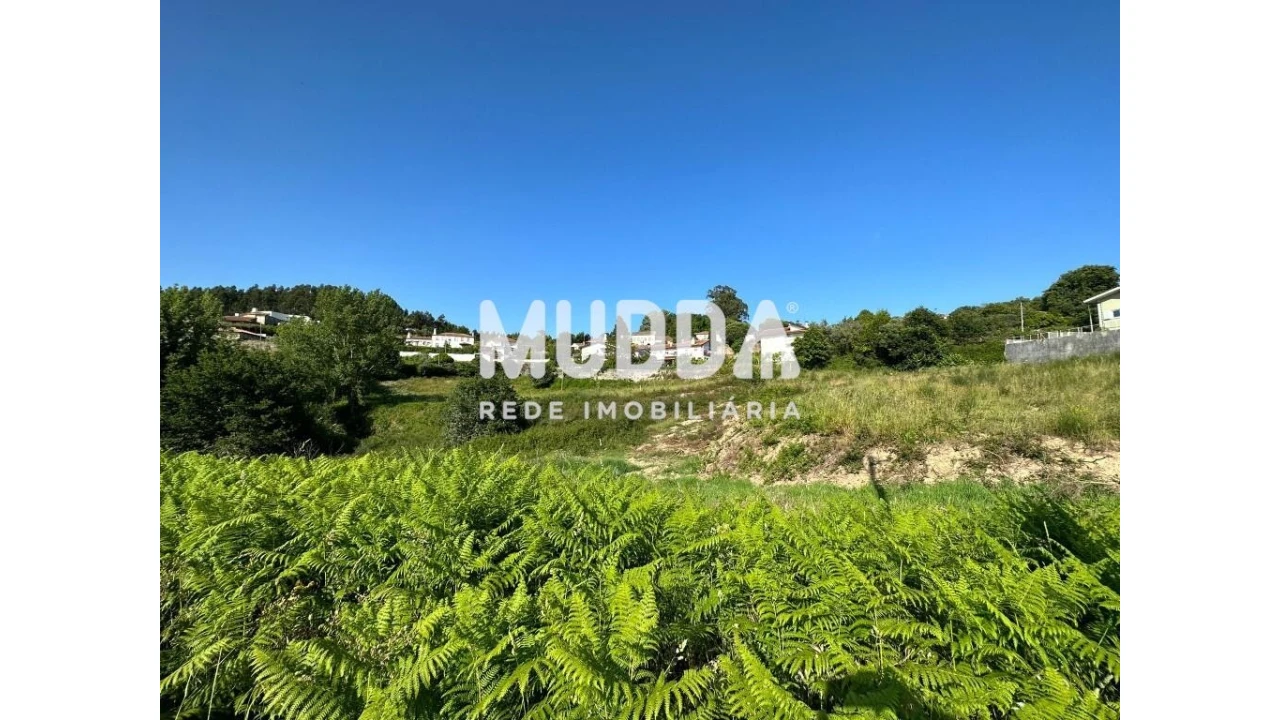 Terreno para Venda em Pinheiro da Bemposta, Travanca e Palmaz Foto 6