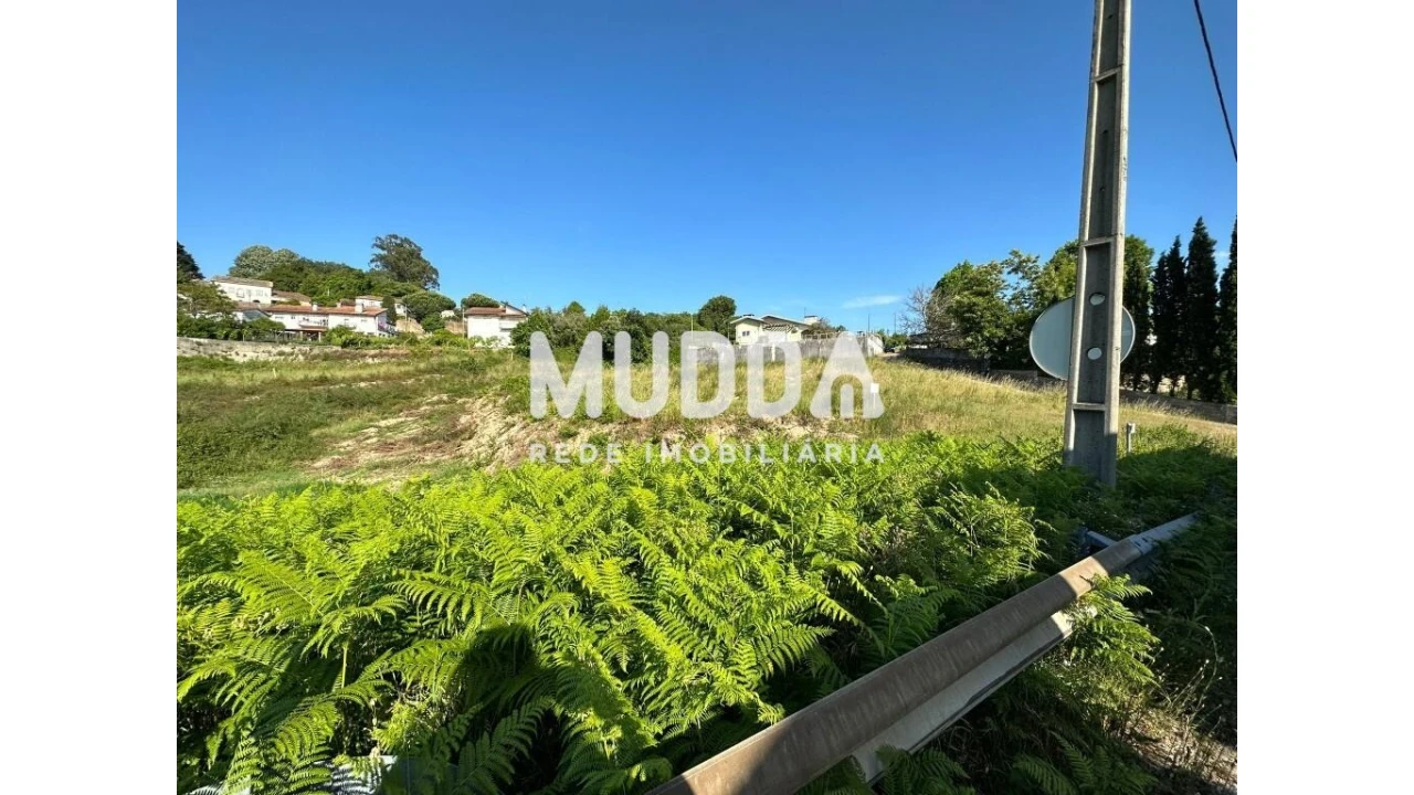 Terreno para Venda em Pinheiro da Bemposta, Travanca e Palmaz Foto 12
