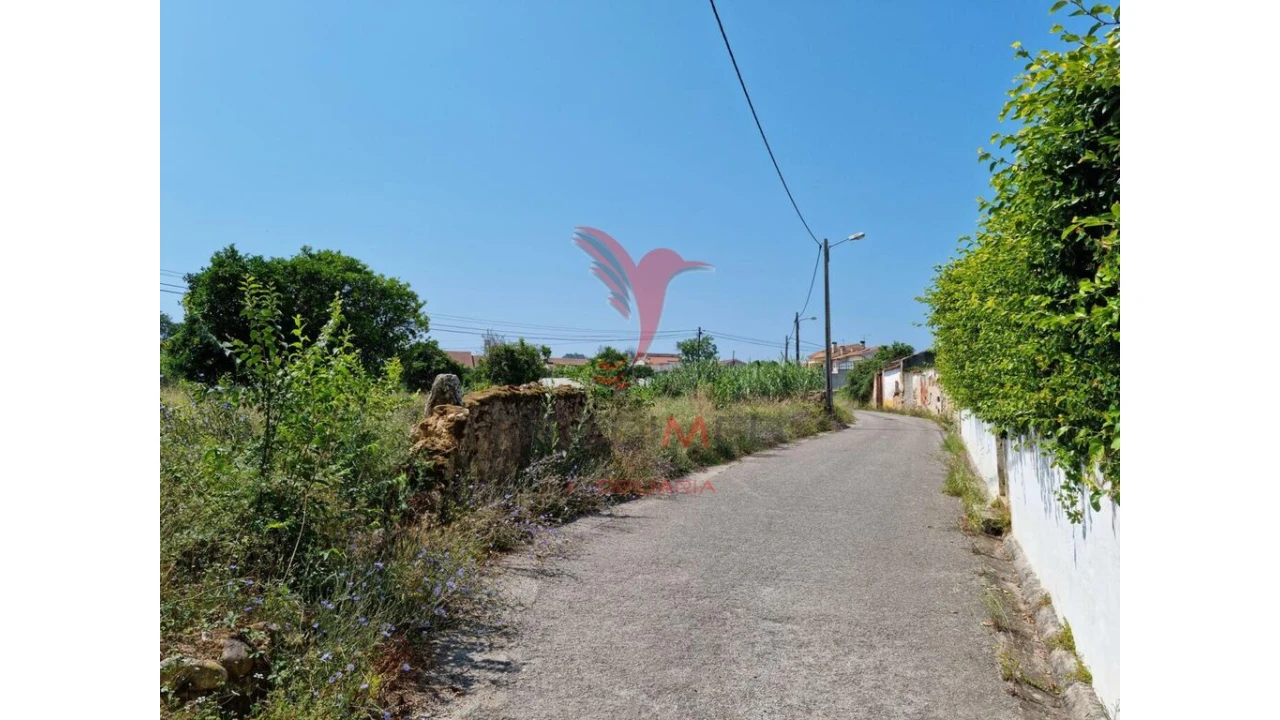 Terreno para Venda em São Martinho de Árvore e Lamarosa Foto 10