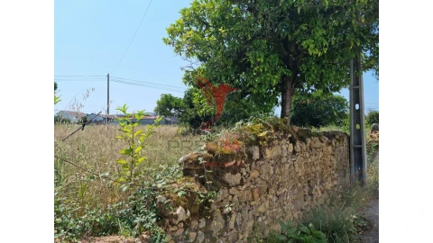 Terreno para Venda em São Martinho de Árvore e Lamarosa