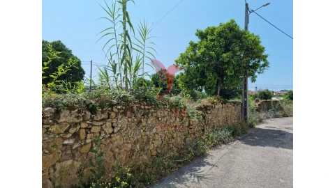 Terreno para Venda em São Martinho de Árvore e Lamarosa