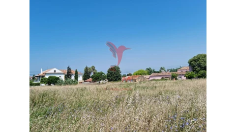 Terreno para Venda em São Martinho de Árvore e Lamarosa
