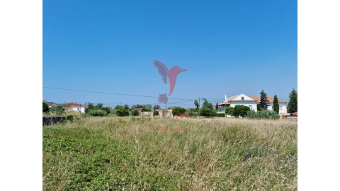 Terreno para Venda em São Martinho de Árvore e Lamarosa