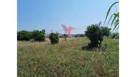 Terreno para Venda em São Martinho de Árvore e Lamarosa