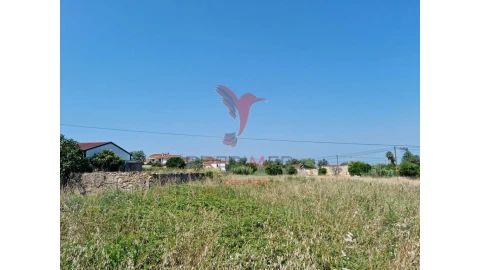 Terreno para Venda em São Martinho de Árvore e Lamarosa