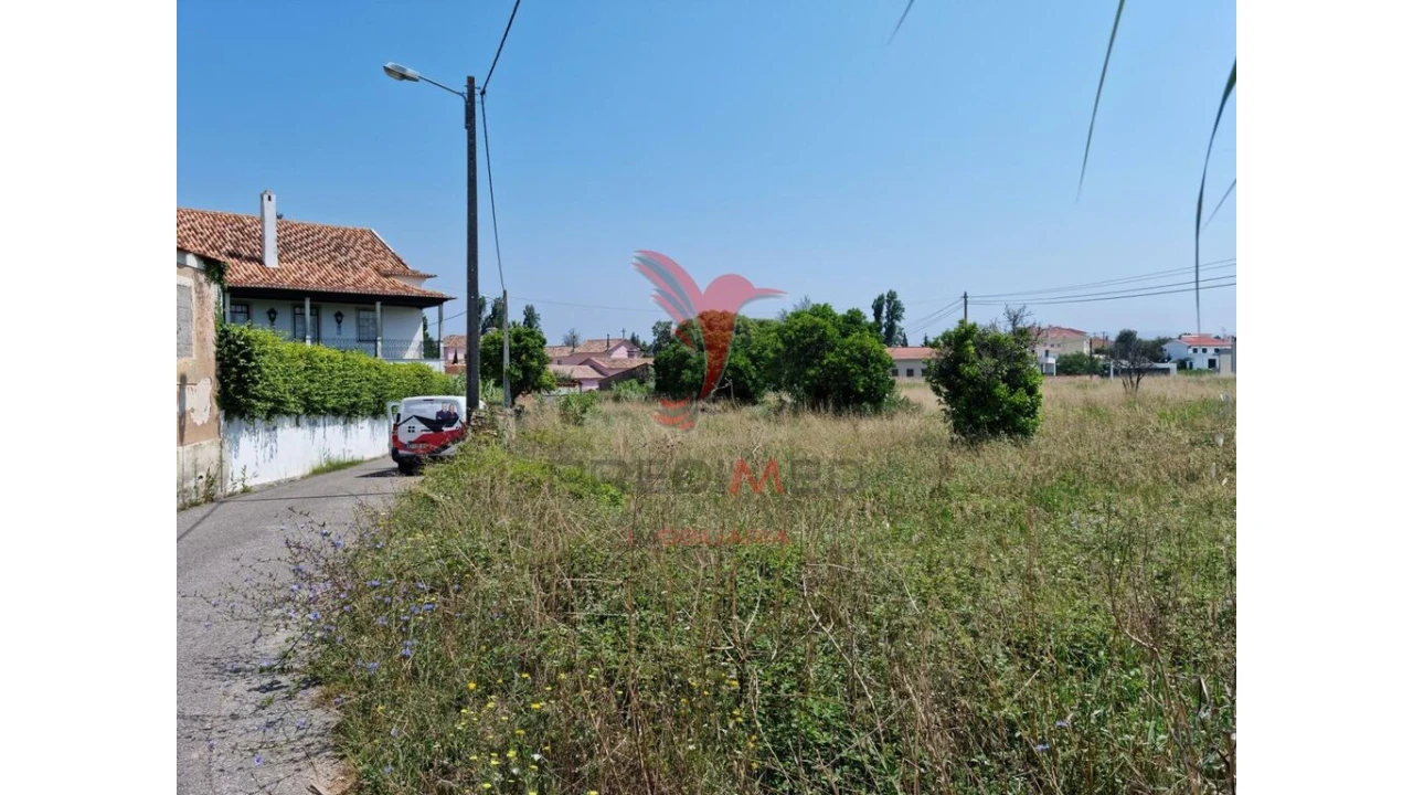 Terreno para Venda em São Martinho de Árvore e Lamarosa Foto 8