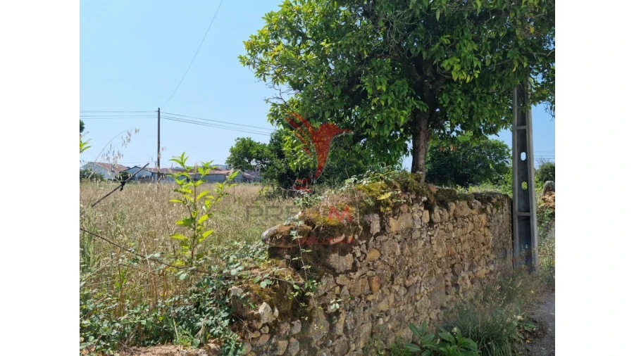 Terreno para Venda em São Martinho de Árvore e Lamarosa Foto 5