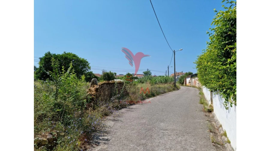Terreno para Venda em São Martinho de Árvore e Lamarosa Foto 10