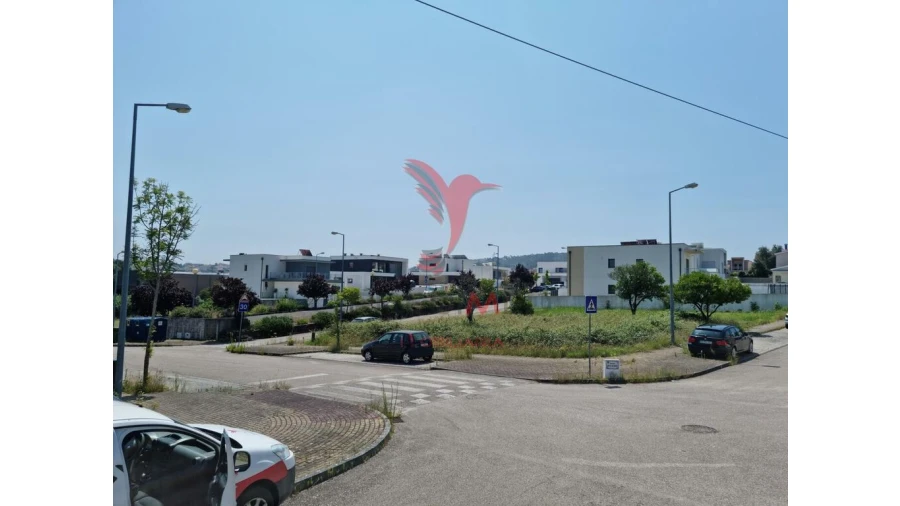 Terreno para Venda em São Martinho de Árvore e Lamarosa Foto 3