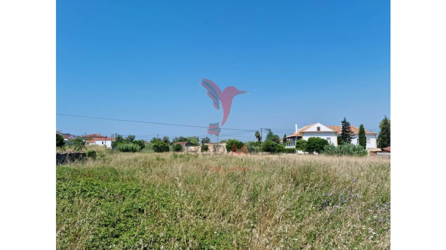 Terreno para Venda em São Martinho de Árvore e Lamarosa Foto 15