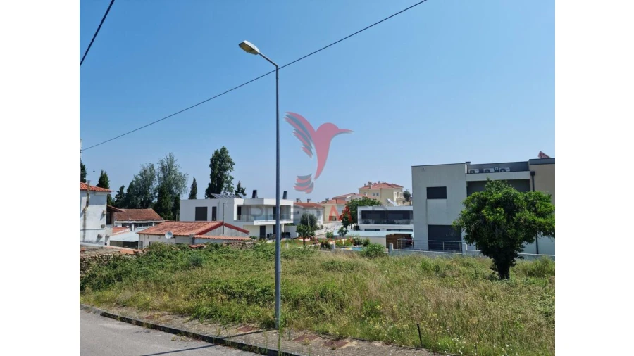 Terreno para Venda em São Martinho de Árvore e Lamarosa Foto 4
