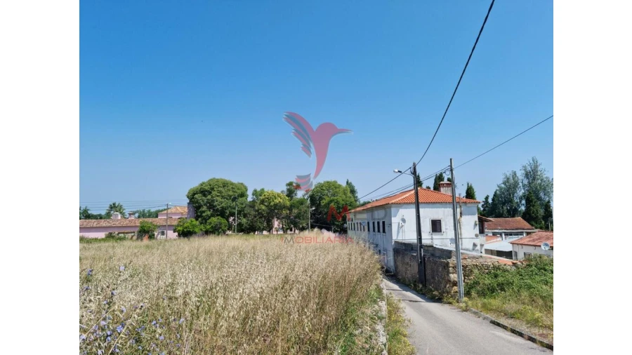 Terreno para Venda em São Martinho de Árvore e Lamarosa Foto 16
