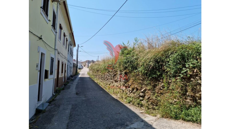 Terreno para Venda em São Martinho de Árvore e Lamarosa Foto 12