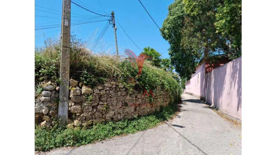 Terreno para Venda em São Martinho de Árvore e Lamarosa Foto 13