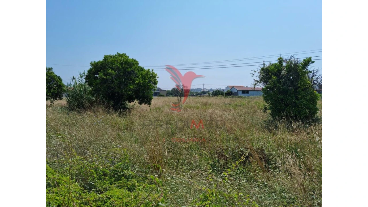 Terreno para Venda em São Martinho de Árvore e Lamarosa Foto 7