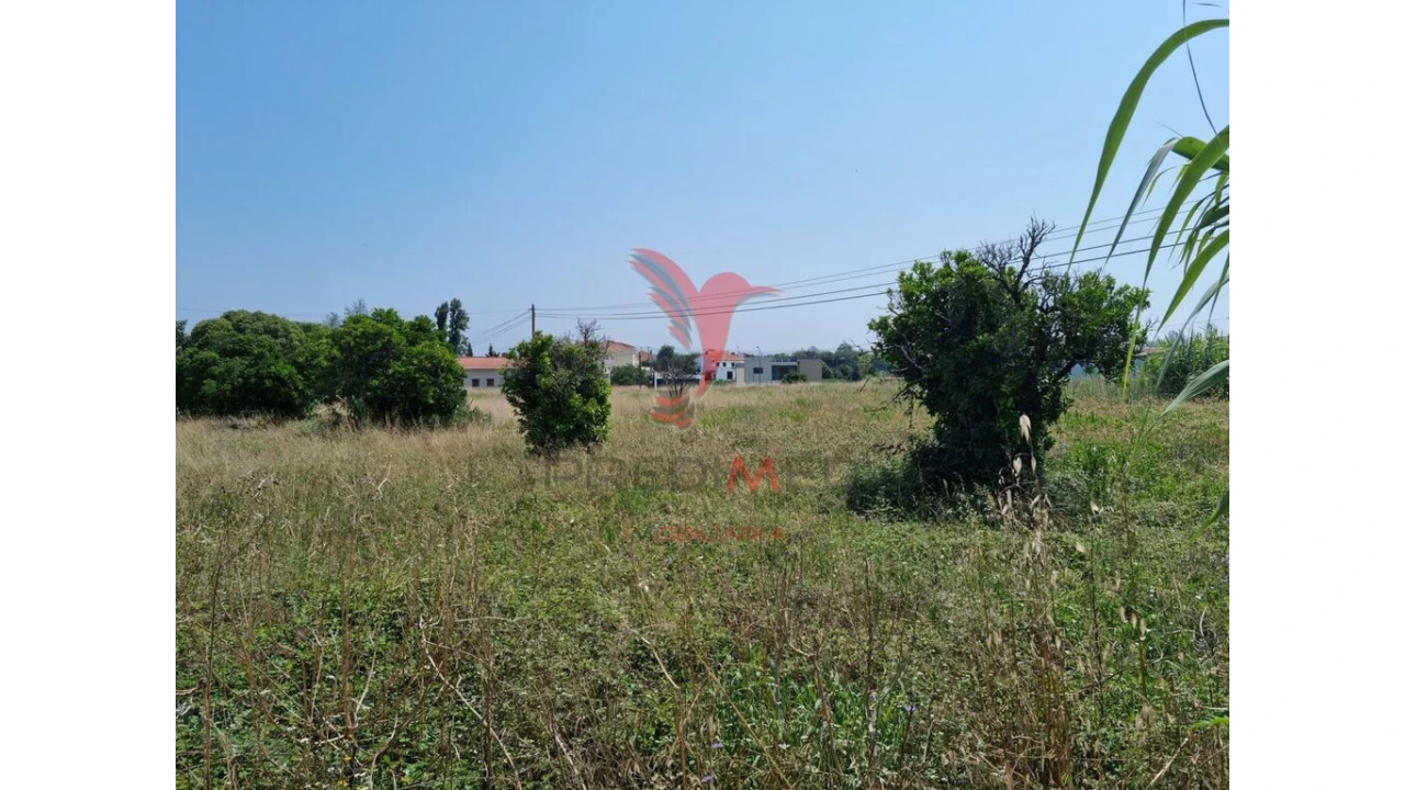 Terreno para Venda em São Martinho de Árvore e Lamarosa Foto 9