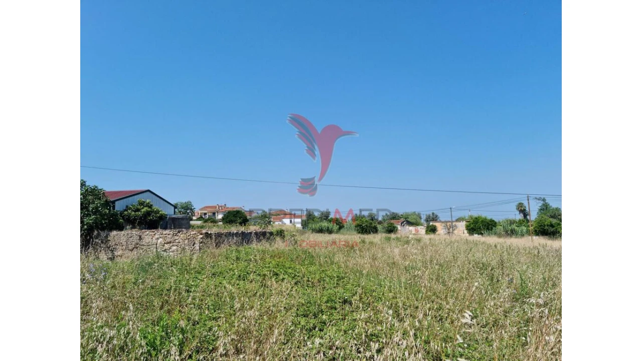 Terreno para Venda em São Martinho de Árvore e Lamarosa Foto 1