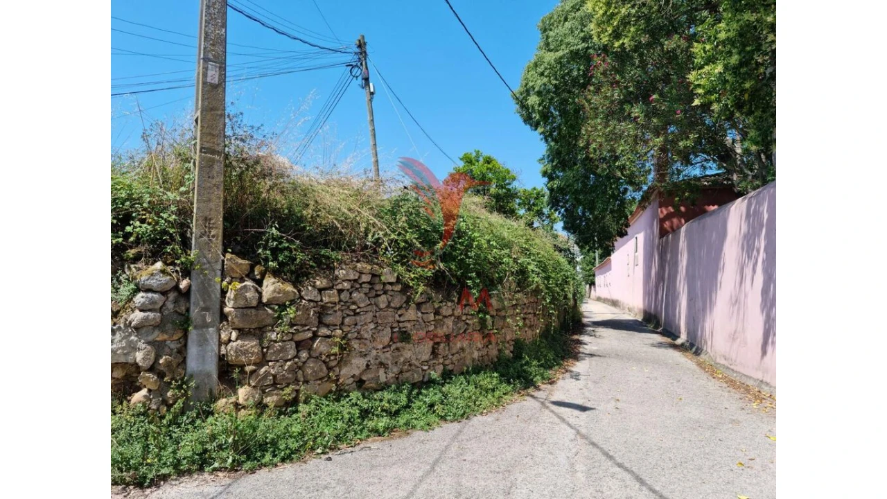 Terreno para Venda em São Martinho de Árvore e Lamarosa Foto 13