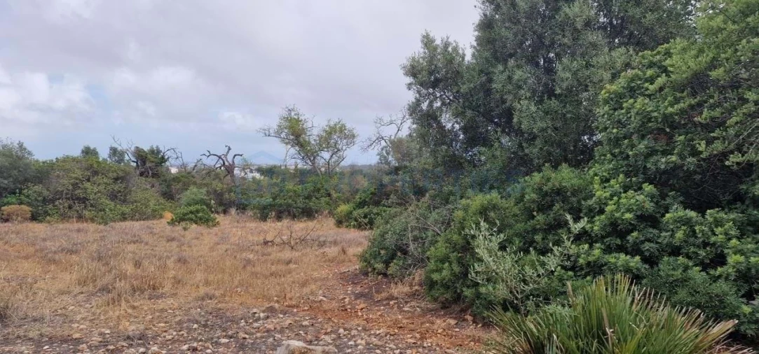 Terreno para Venda em Albufeira e Olhos de Água Foto 5