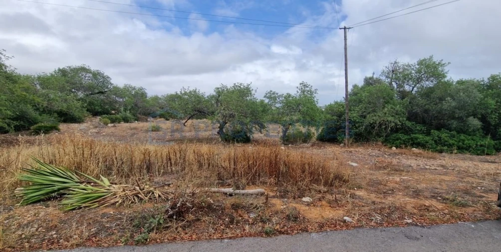 Terreno para Venda em Albufeira e Olhos de Água Foto 6