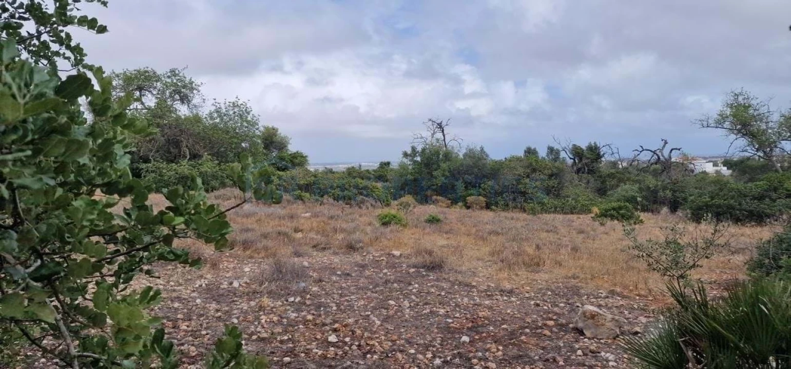 Terreno para Venda em Albufeira e Olhos de Água Foto 4