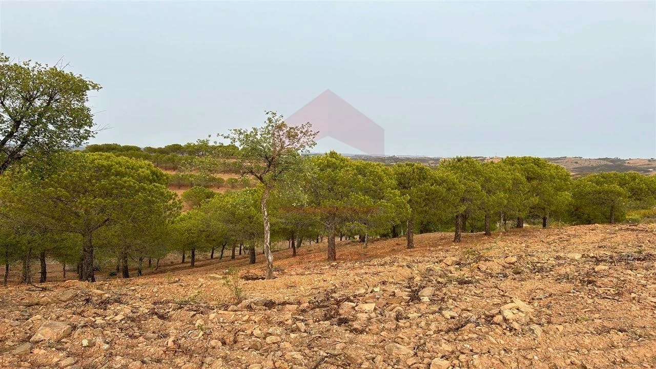 Terreno Agricola ou Rústico para Venda em Azinhal Foto 5