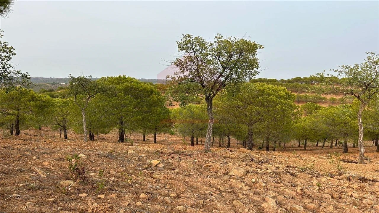 Terreno Agricola ou Rústico para Venda em Azinhal Foto 4