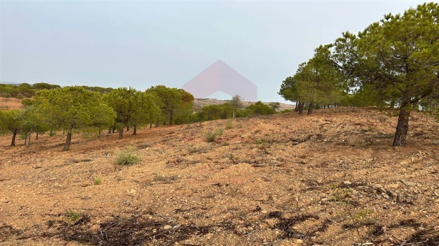 Terreno Agricola ou Rústico para Venda em Azinhal Foto 3