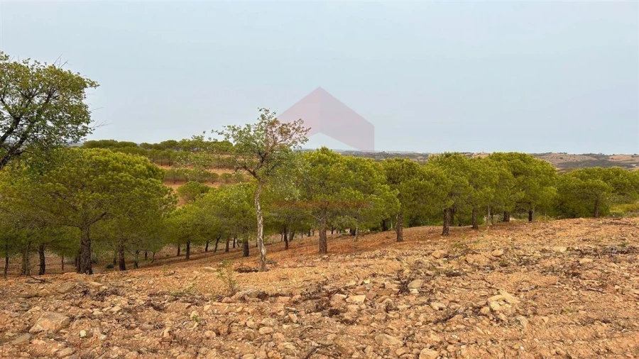 Terreno Agricola ou Rústico para Venda em Azinhal Foto 5