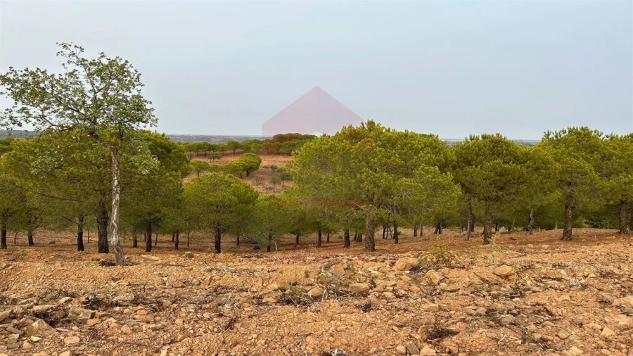 Terreno Agricola ou Rústico para Venda em Azinhal Foto 6