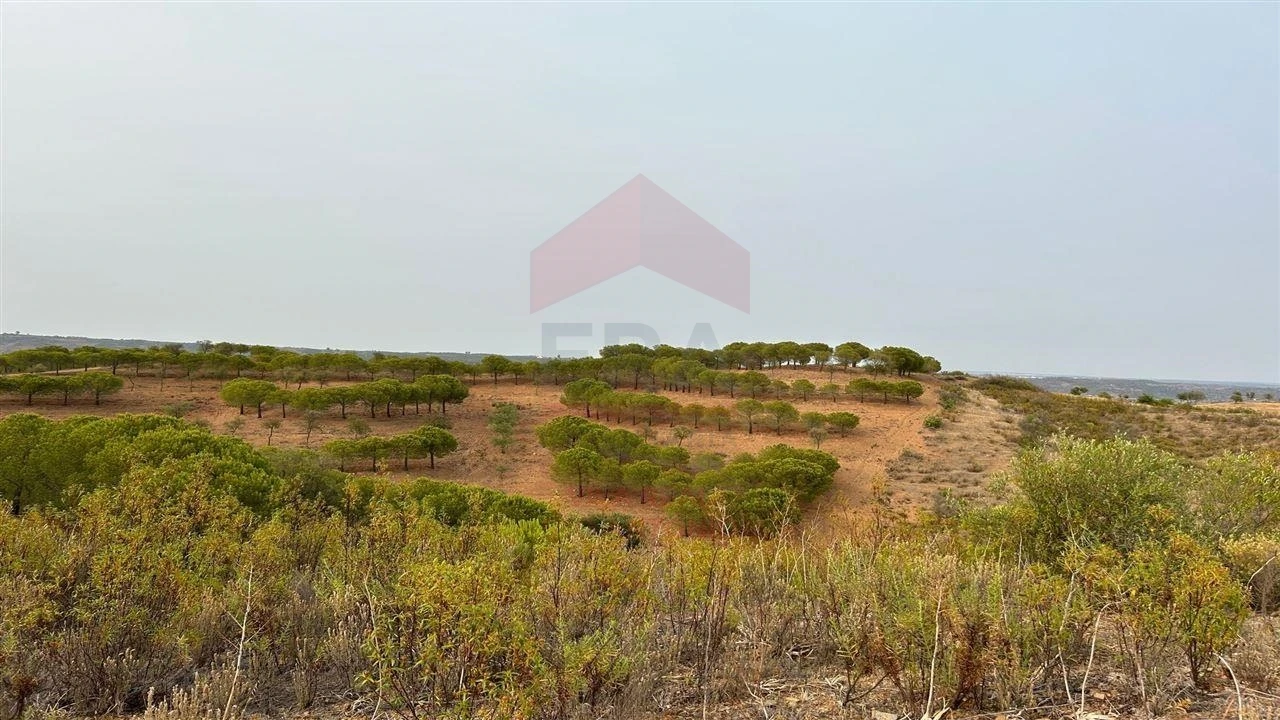 Terreno Agricola ou Rústico para Venda em Azinhal Foto 7