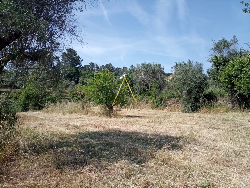Terreno para Venda em Fragosela Foto 2