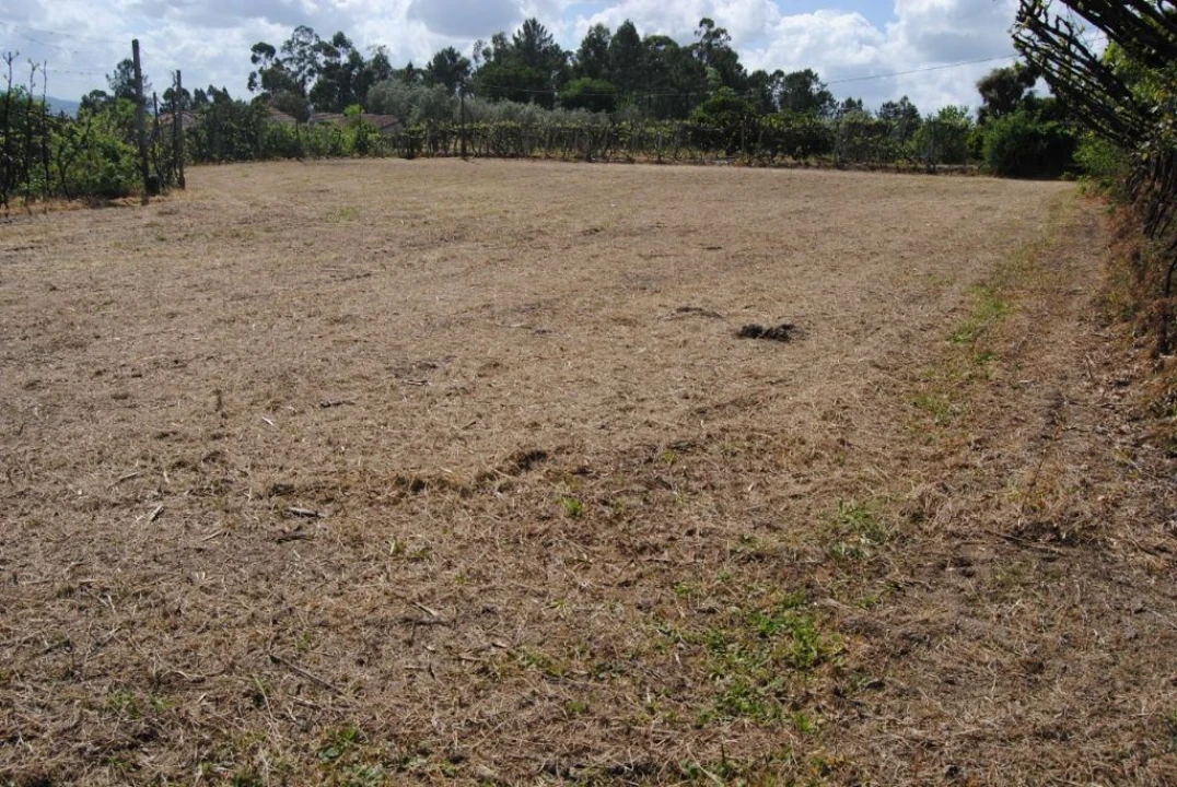 Quinta T3 para Venda em Salvador do Monte Foto 15