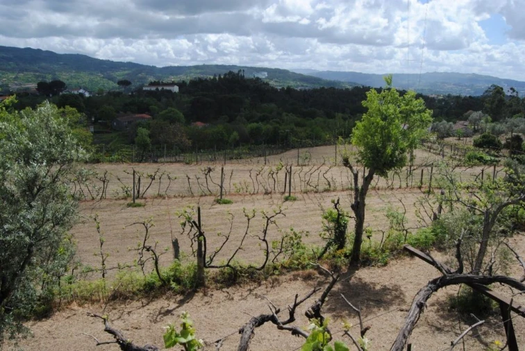 Quinta T3 para Venda em Salvador do Monte Foto 10