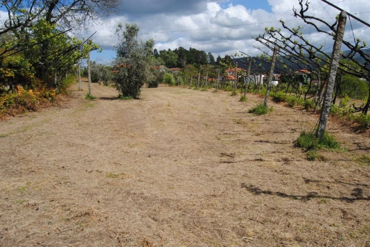 Quinta T3 para Venda em Salvador do Monte Foto 12