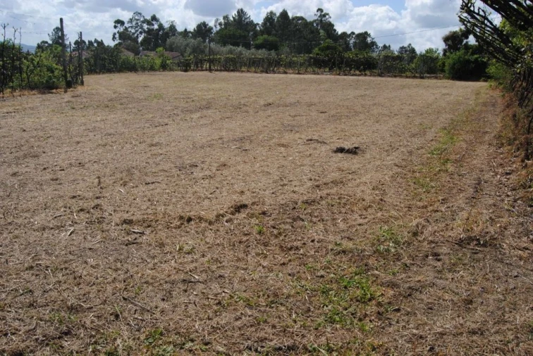 Quinta T3 para Venda em Salvador do Monte Foto 15