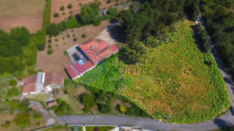 Terreno para Venda em São João de Ver Foto 6