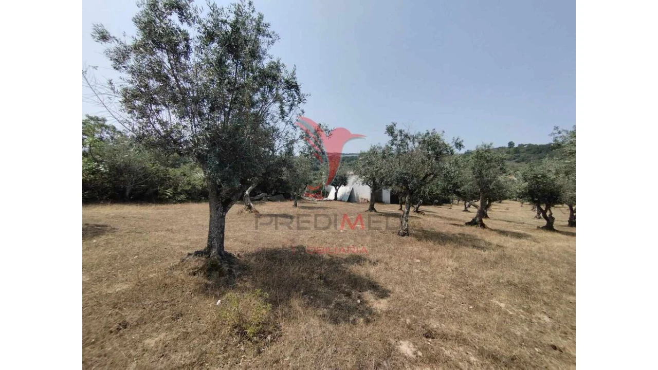 Terreno para Venda em Santa Maria da Devesa Foto 1