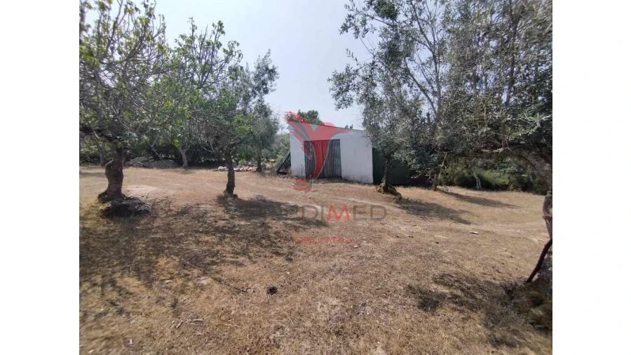 Terreno para Venda em Santa Maria da Devesa Foto 5