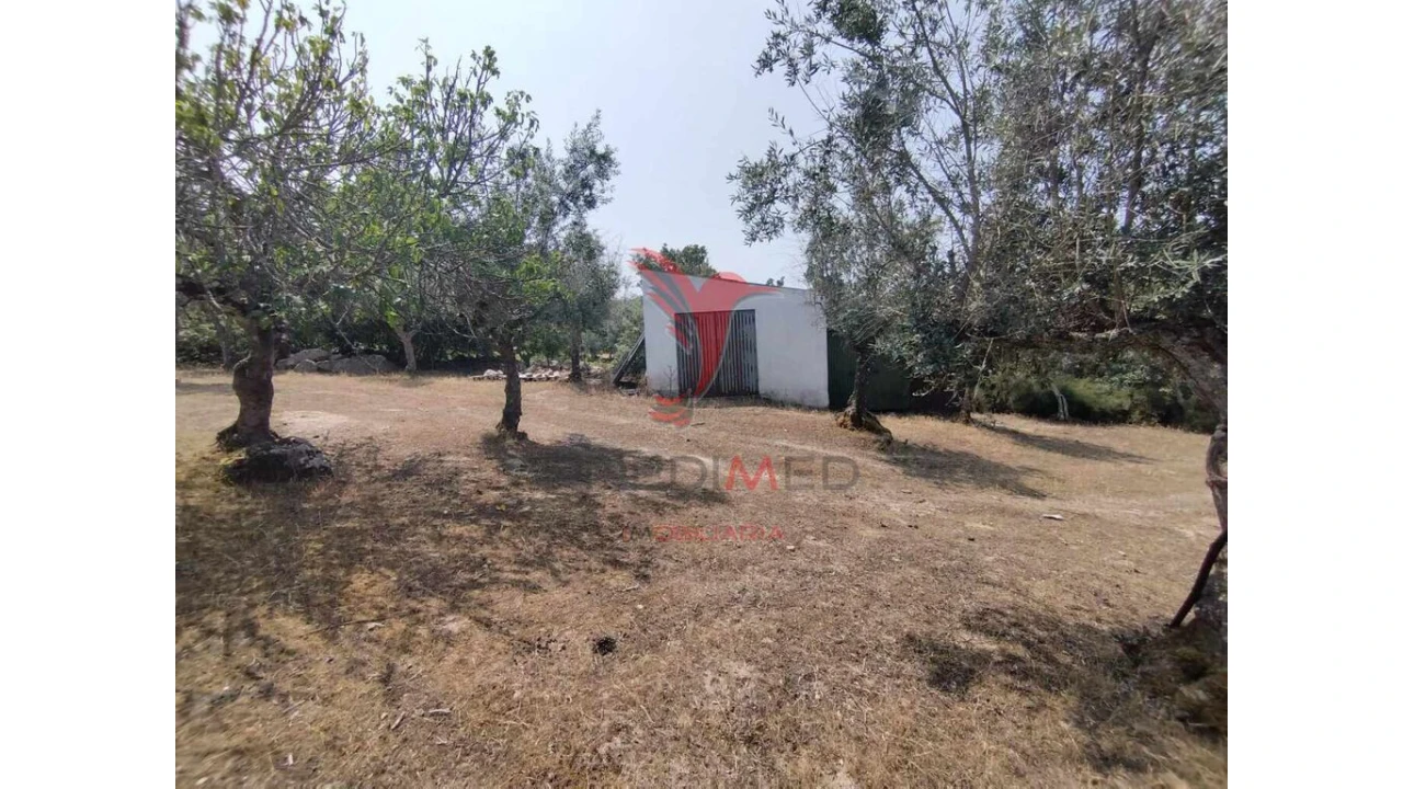 Terreno para Venda em Santa Maria da Devesa Foto 5