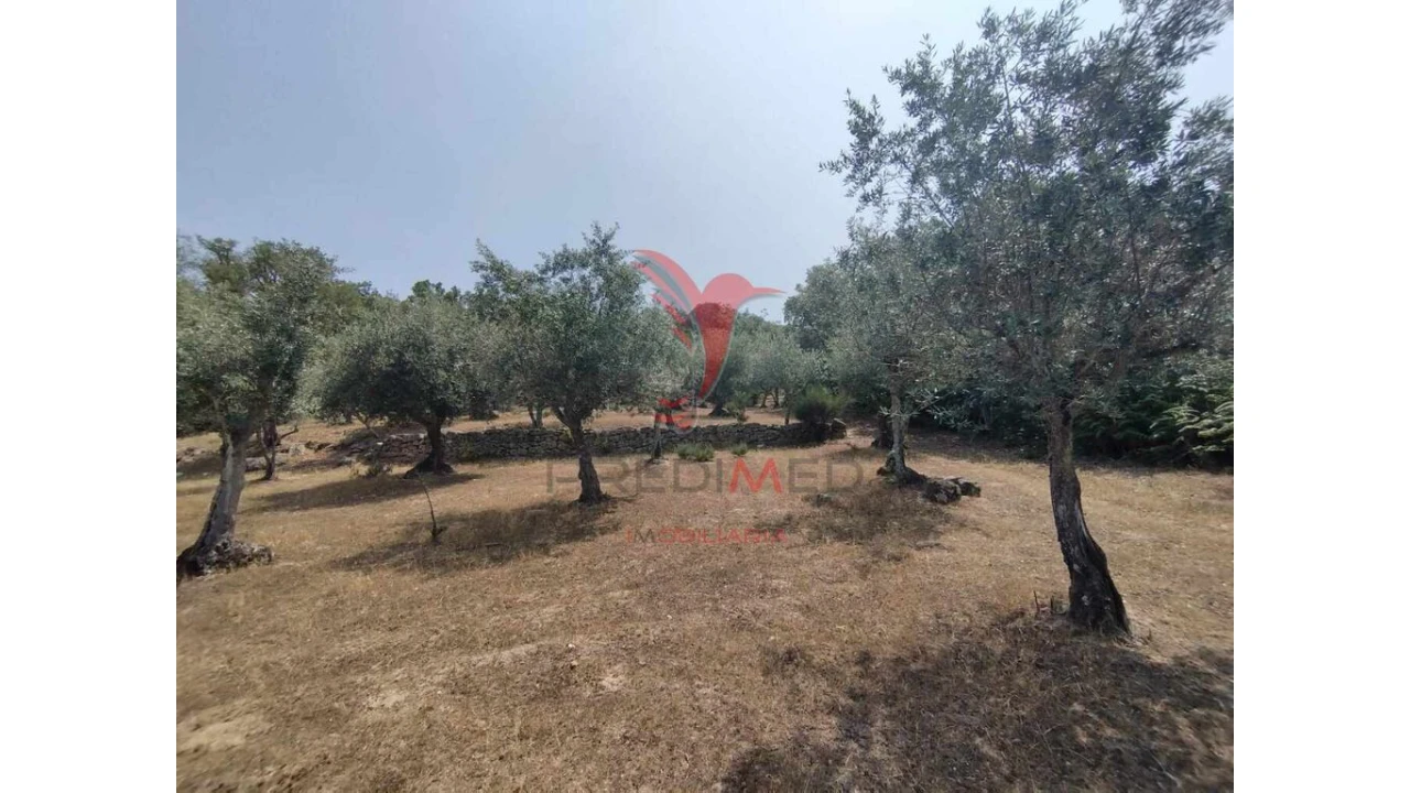 Terreno para Venda em Santa Maria da Devesa Foto 13