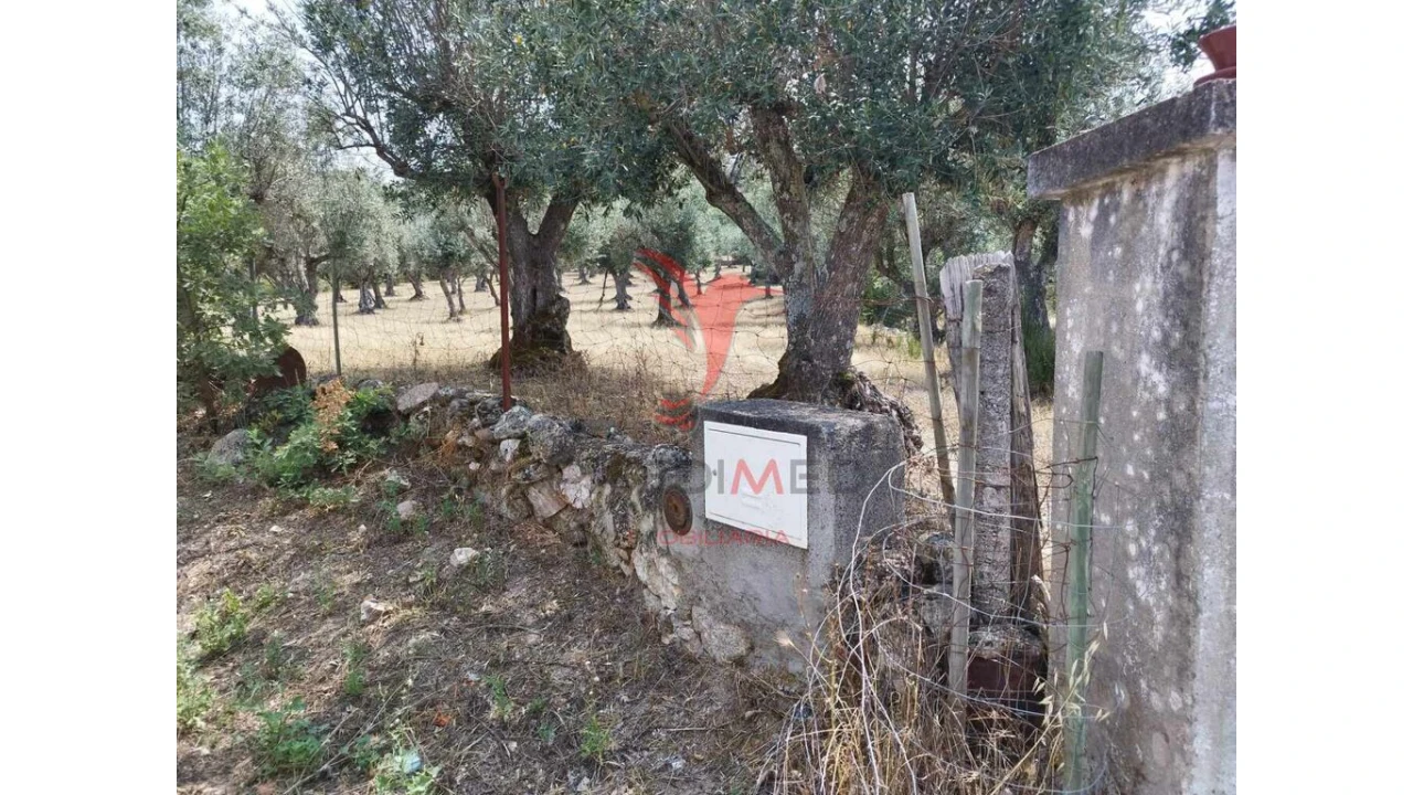 Terreno para Venda em Santa Maria da Devesa Foto 11