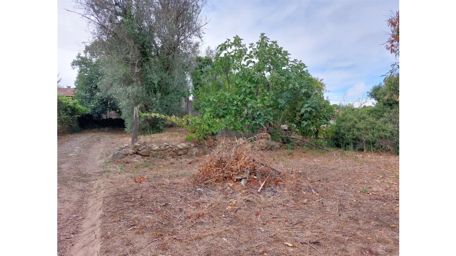 Moradia T2 para Venda em Povolide Foto 10