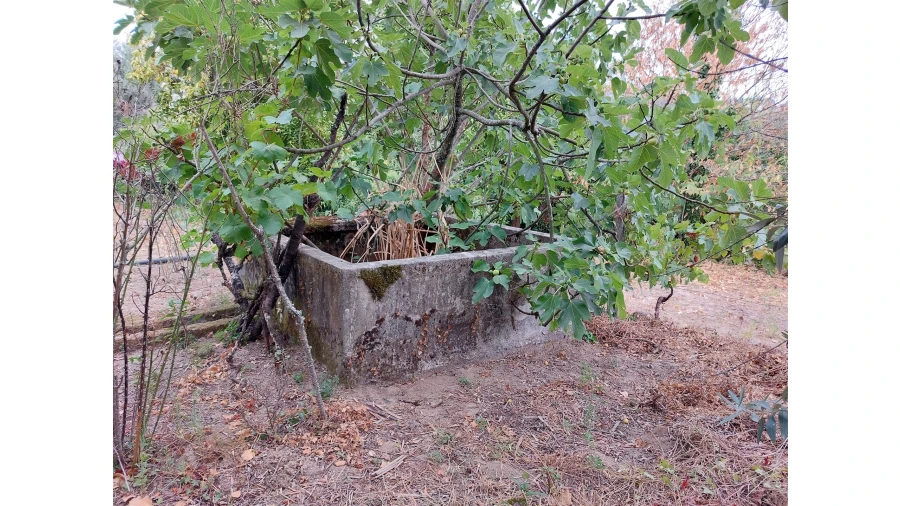 Moradia T2 para Venda em Povolide Foto 7