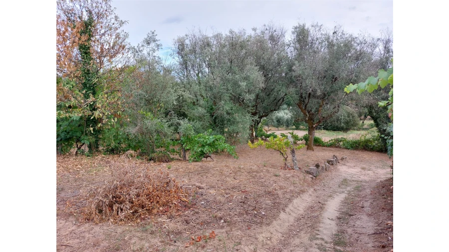 Moradia T2 para Venda em Povolide Foto 9