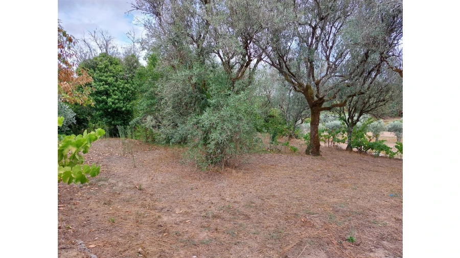 Moradia T2 para Venda em Povolide Foto 8