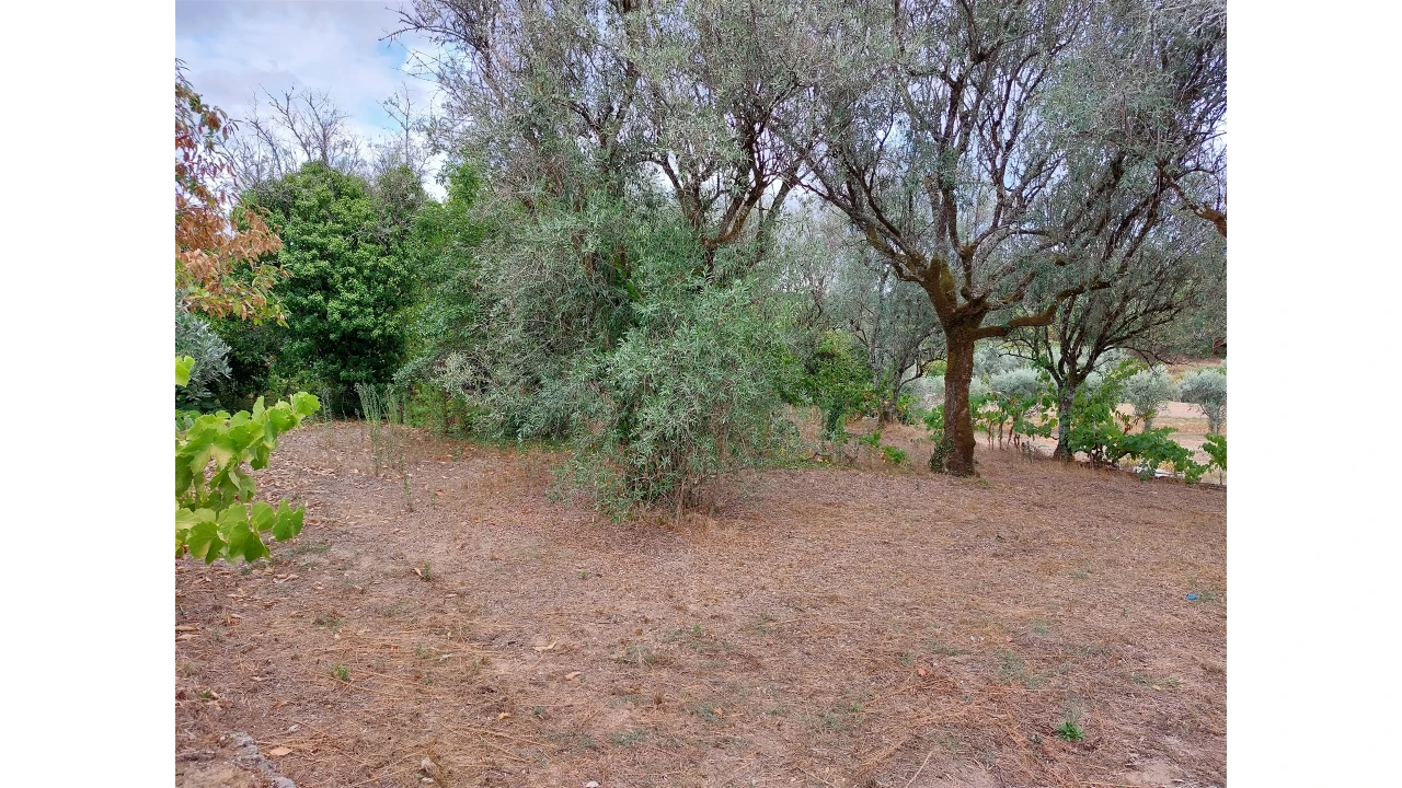 Moradia T2 para Venda em Povolide Foto 8