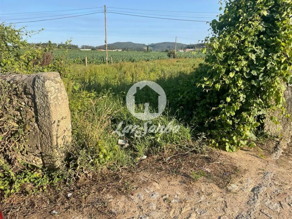 Terreno Agricola ou Rústico para Venda em Rates Foto 1