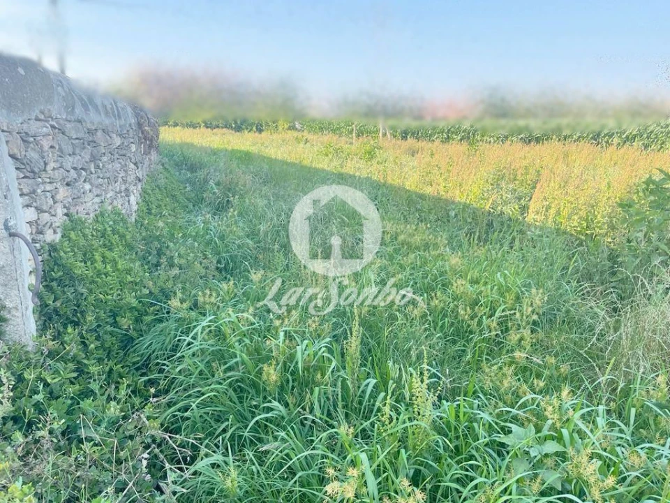 Terreno Agricola ou Rústico para Venda em Rates Foto 2