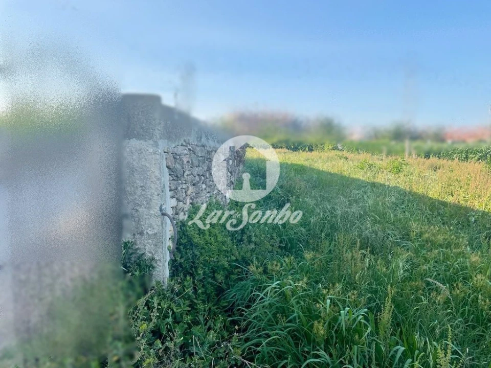 Terreno Agricola ou Rústico para Venda em Rates Foto 3